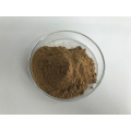 Celery Leaf P.E.Celery Seed Extract Powder